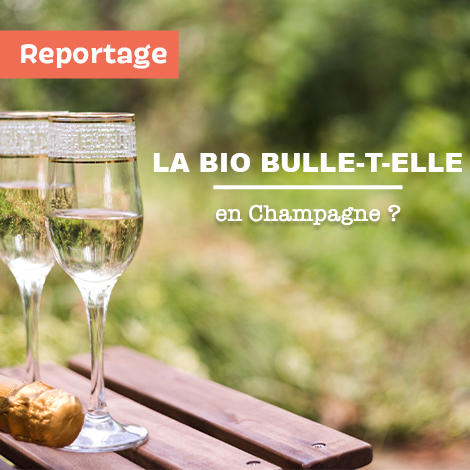 Terroirs et territoires : la bio bulle-t-elle en Champagne ? Terroirs et territoires : la bio bulle-t-elle en Champagne ?